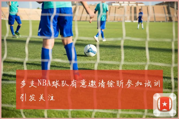 多支NBA球队有意邀请徐昕参加试训引发关注